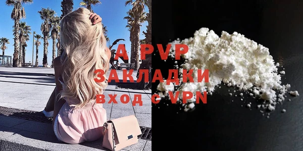 стаф Белоозёрский
