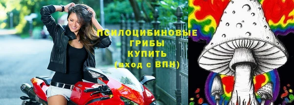 герыч Богородск