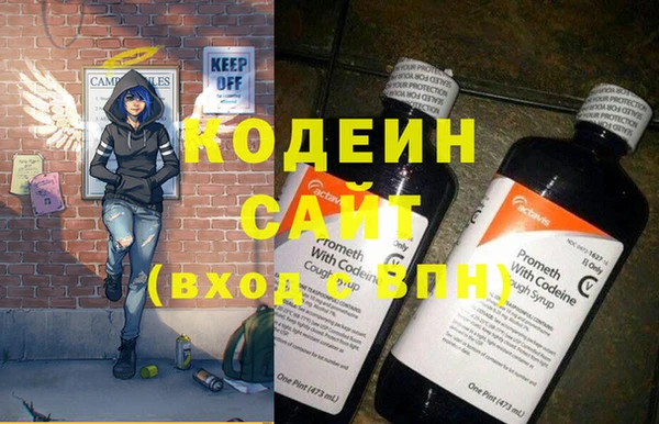 гашик Сосновый Бор